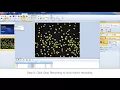 Beginner s guide to macro writing Celleste Image Analysis Software