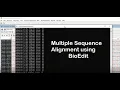 How to Generate Multiple Sequence Alignment using BioEdit Tutorial 4 Analytical Tutorials