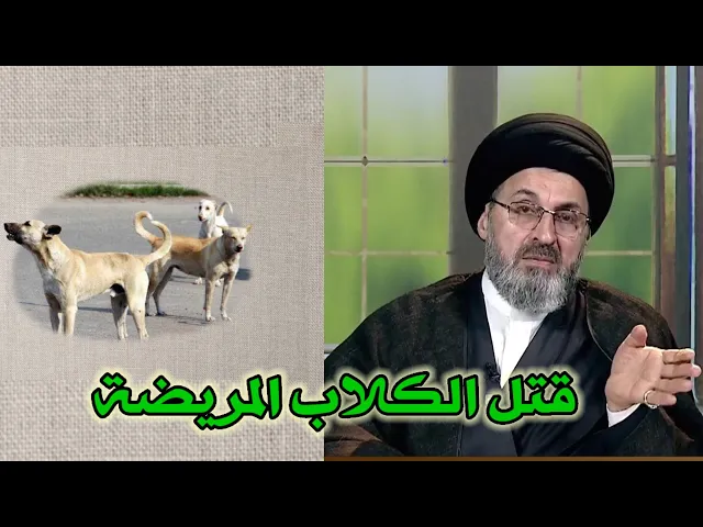 ⁣متصل توجد كلاب مريضة هل يجوز قتلها / سيد رشيد الحسيني