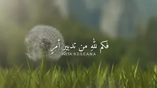 أغيب  وذو اللطائف  لا يغيب    مشاري العفاسي   حالات واتس   بدون موسيقى دندنها