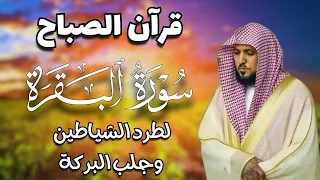 قرآن الصباح   سورة البقرة لحفظ وتحصين المنزل   بصوت الشيخ ماهر المعيقلي    جودة عالية دندنها