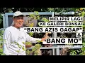 Download Lagu REVIEW BONSAI LAGI DI GALERI \