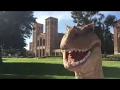 Waitlisted at UCLA
