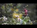 12017 Summer Meadows Spring Branch Texas 78070