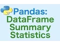 16 - Pandas DataFrames Summary Statistics