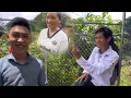Lagu Tiểu cường,tức lồng lộn khi biết em phong có người yêu xinh như Thúy kiều,mình lại không được..!