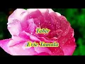 Download Lagu Tabir by Evie Tamala