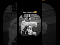 Download Lagu KING CHARLES 👑- ( BOT KAK TO TAK) #shorts #shortsfeed #trendingshorts #motivation