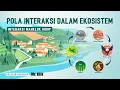 Download Lagu POLA INTERAKSI DALAM EKOSISTEM