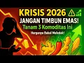 KRISIS 2026 Semakin Dekat! Emas Ditinggal, Komoditas Ini Jadi Rebutan!