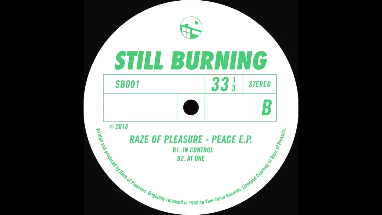 Raze Of Pleasure - B1. In Control [SB001]