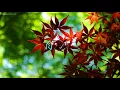 SPIKY PROD - KID INK FT.DEJ LOAF - BE REAL - 2K18 🌴(DANCEHALL)🌴