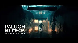 Download Paluch \ MP3