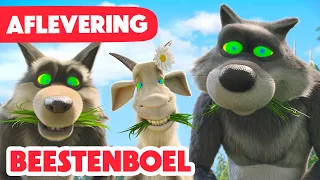 Masha en de Beer 🌟 PREMIERE 🌟 Beestenboel 🐐📺😵‍💫 (Aflevering 146) 🌀 Run Wild