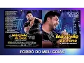 Download Lagu Leãozinho Do Forró Vol 07 - Forró Do Meu Goiás