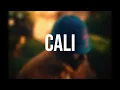 Amapiano Instrumental 2026 "CALI" Asake x Ayo Maff x Seyi Vibez Type Beat | Afrobeat Amapiano