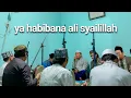Download Lagu Ya Habibana Ali \u0026 Ya Tarim | Haul Mbah Ma'sum Porong - Sidoarjo