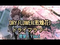 優里 yuuri - ドライフラワー ( Dry Flower 乾燥花 ) 【中文歌詞 / 罗马歌词 / 日文歌词 / 動態歌詞 / Lyrics Video】
