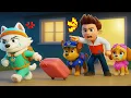 Download Lagu Everest Se Va de la Patrulla – Ryder la Expulsa??  PAw PaTrol en Español | Rainbow 3