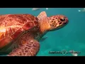 Diane Arkenstone " Voice of the Sea " [CINEMATIC]