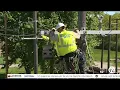 Inside DTE s storm school What it takes to become a DTE power line worker