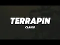 Clairo - Terrapin