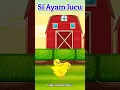 Si ayam lucu #laguanak