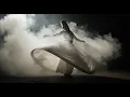 Download Lagu Rumi's Mystical Sufi Music – Voice of Anatolia