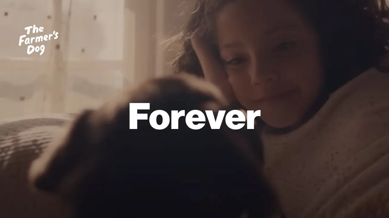 Video thumbnail: YouTube video player