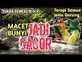 Lagu JADI GACOR‼️ 1 JAM Terapi Burung Alami Tanpa Doping, Suara Gemericik Air Bikin Burung Rajin Bunyi
