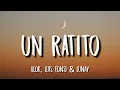 Alok, Luis Fonsi \u0026 Lunay - UN RATITO (Lyrics) ft. Lenny Tavárez, Juliette
