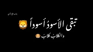 لا تأسفن على غدر الزمان لطالما    رقصت على جثث الاسود كلاب      علي اتركزي    دندنها