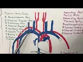 Blood Vessel Identification Demonstration