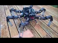 Hexapod Robot - LX-16A Servos with RaspberryPi and Python