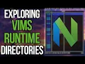 Exploring The Magic Of The Vim Runtime Directories
