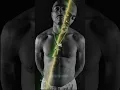 Download Lagu 2Pac – No Body Sees (Unseen Truth from a Real One) #2Pac #NoBodySees #Makaveli #Tupac #ThugLife
