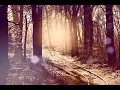 Tell my story - Durban's Finest Vol1