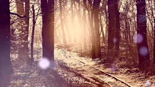 tell my story durbans finest vol1