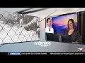 LIVE 29News Morning Rush