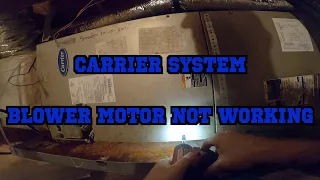 Carrier System Not Blower Motor