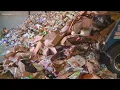 Boise making temporary changes to trash recycling collection
