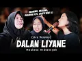 Download Lagu Maulana Ardiansyah - Dalan Liyane (Live Ska Reggae)