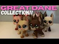 Lps GREAT DANE - Collection Tour