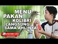 Download Lagu 🔴 Menu Pakan Kolibri Manggar \u0026 Perawatan Langsung dari Ahlinya❗️Wihalim Synth