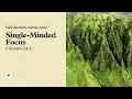 Single-Minded Focus - Daily Devotional