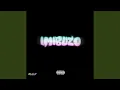 Download Lagu IMIBUZO (feat. Blaq eye, Baby K, Cerion B \u0026 PROUDLYSL!ME)