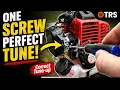 Using Single Tuning Screw Adjustment Weed Eater Strimmer Carburetor by Craig Kirkman