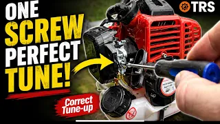 Using Single Tuning Screw Adjustment Weed Eater Strimmer Carburetor by Craig Kirkman
