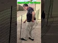 Cheap Easy But Ugly Temporary Dog Fence