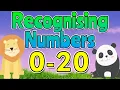 Recognising RANDOM Numbers 0-20 Learn to Read Write Numbers 0 to 20 Miss Ellis